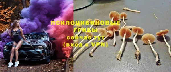трава Рославль